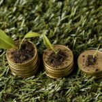 high-angle-three-stacks-coins-grass-with-dirt-plants